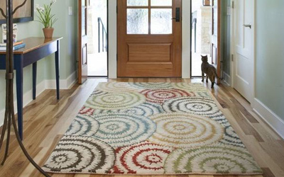 Colorful clean area rug for entry way or foyer