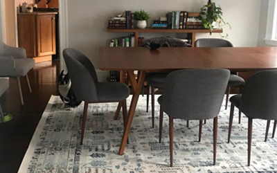 Freshly cleaned dining room area rug